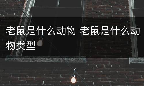 老鼠是什么动物 老鼠是什么动物类型