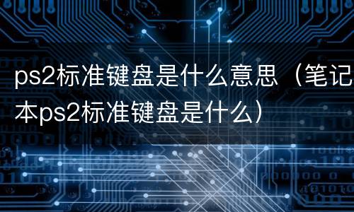 ps2标准键盘是什么意思（笔记本ps2标准键盘是什么）