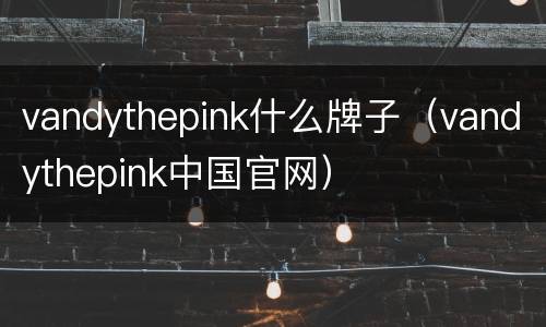 vandythepink什么牌子（vandythepink中国官网）