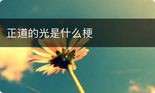正道的光是什么梗