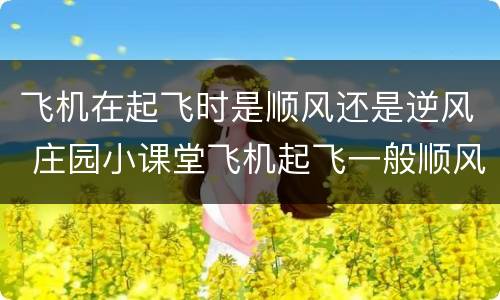 飞机在起飞时是顺风还是逆风 庄园小课堂飞机起飞一般顺风还是逆风