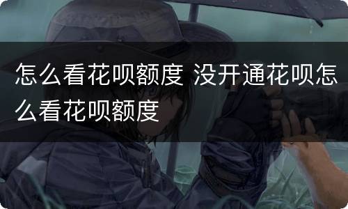 怎么看花呗额度 没开通花呗怎么看花呗额度