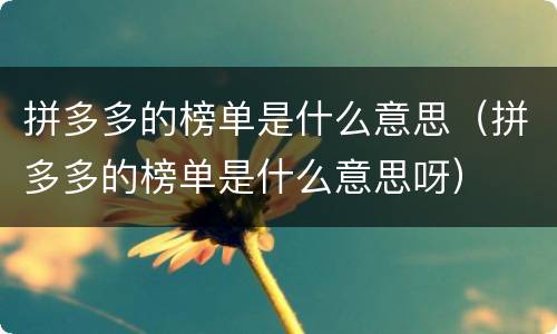 拼多多的榜单是什么意思（拼多多的榜单是什么意思呀）
