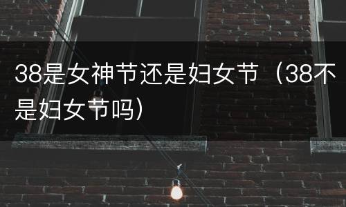 38是女神节还是妇女节（38不是妇女节吗）