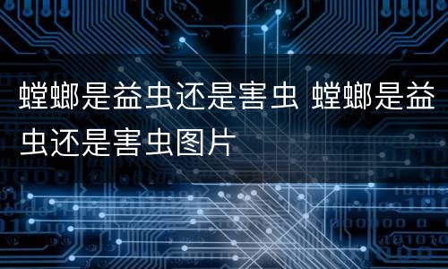 螳螂是益虫还是害虫 螳螂是益虫还是害虫图片
