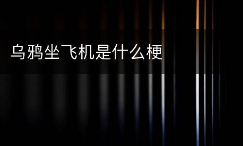 乌鸦坐飞机是什么梗