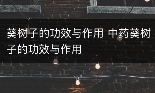 葵树子的功效与作用 中药葵树子的功效与作用