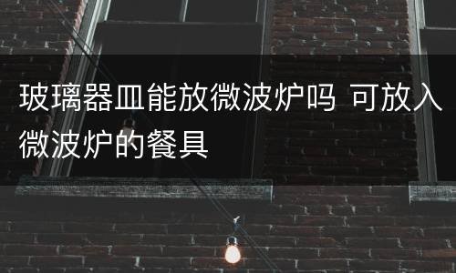 玻璃器皿能放微波炉吗 可放入微波炉的餐具