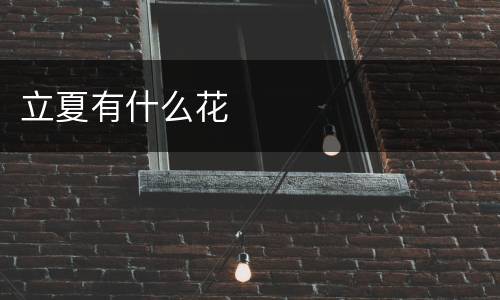 立夏有什么花