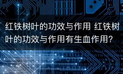 红铁树叶的功效与作用 红铁树叶的功效与作用有生血作用?