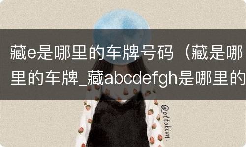 藏e是哪里的车牌号码（藏是哪里的车牌_藏abcdefgh是哪里的车牌号）