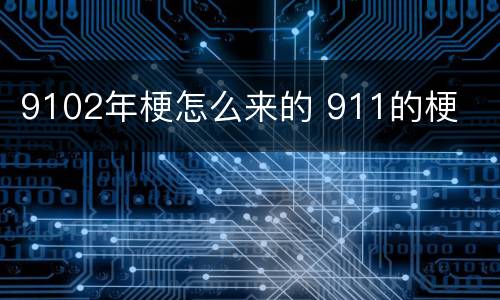 9102年梗怎么来的 911的梗