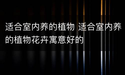 适合室内养的植物 适合室内养的植物花卉寓意好的