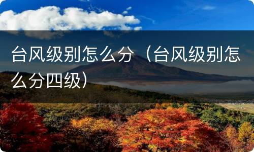 台风级别怎么分（台风级别怎么分四级）
