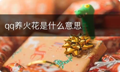 qq养火花是什么意思