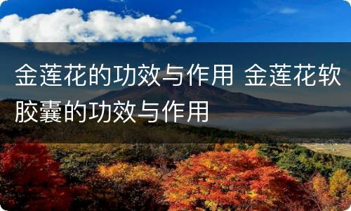 金莲花的功效与作用 金莲花软胶囊的功效与作用