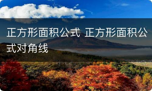 正方形面积公式 正方形面积公式对角线