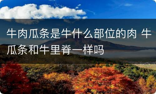 牛肉瓜条是牛什么部位的肉 牛瓜条和牛里脊一样吗
