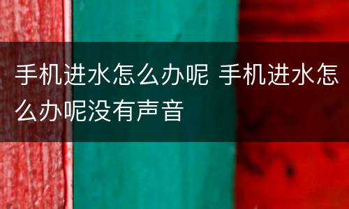 手机进水怎么办呢 手机进水怎么办呢没有声音