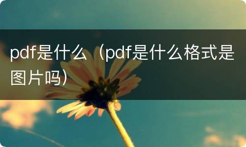 pdf是什么（pdf是什么格式是图片吗）