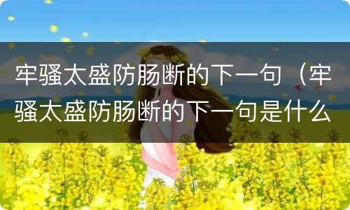 牢骚太盛防肠断的下一句（牢骚太盛防肠断的下一句是什么诗）