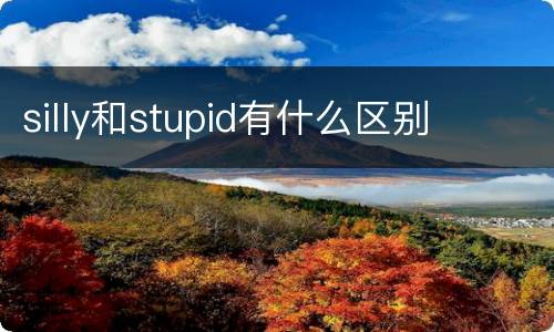 silly和stupid有什么区别