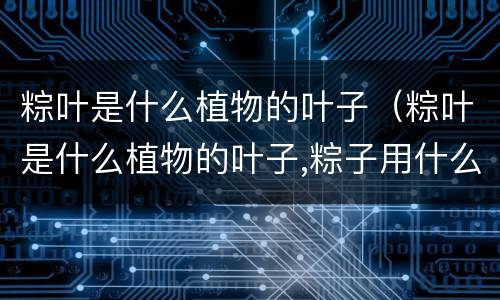 粽叶是什么植物的叶子（粽叶是什么植物的叶子,粽子用什么叶子包好?）