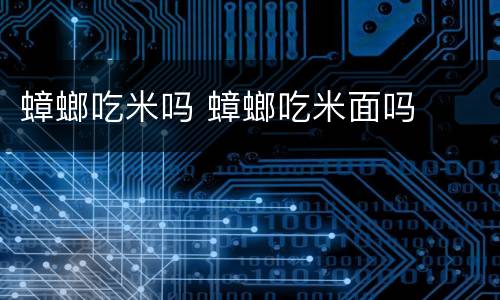 蟑螂吃米吗 蟑螂吃米面吗