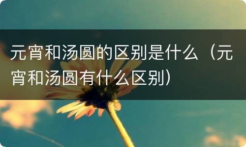 元宵和汤圆的区别是什么（元宵和汤圆有什么区别）