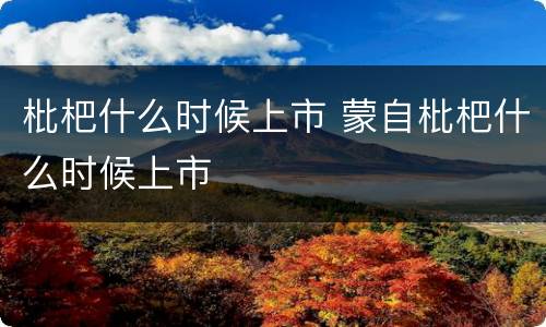 枇杷什么时候上市 蒙自枇杷什么时候上市