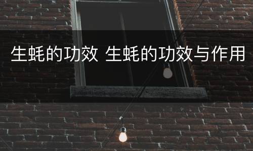 生蚝的功效 生蚝的功效与作用