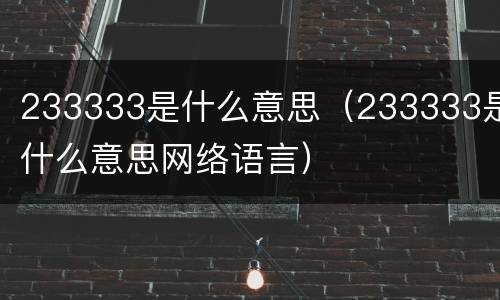 233333是什么意思（233333是什么意思网络语言）