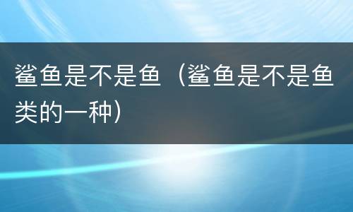 鲨鱼是不是鱼（鲨鱼是不是鱼类的一种）