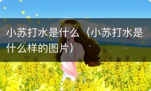 小苏打水是什么（小苏打水是什么样的图片）