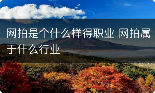 网拍是个什么样得职业 网拍属于什么行业