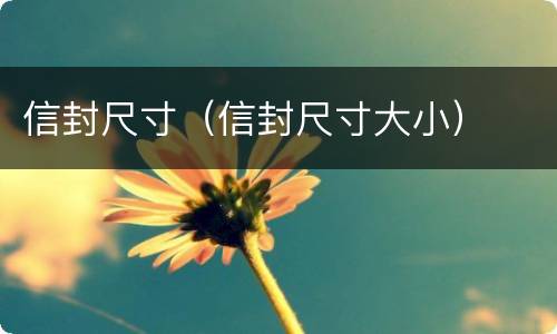 信封尺寸（信封尺寸大小）