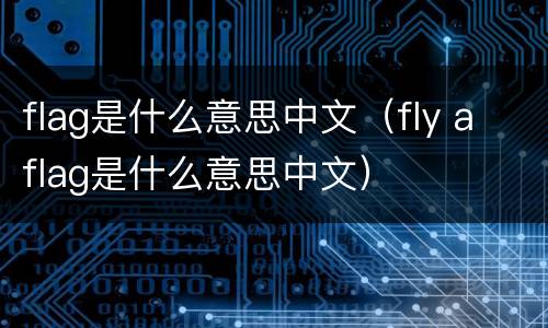 flag是什么意思中文（fly a flag是什么意思中文）