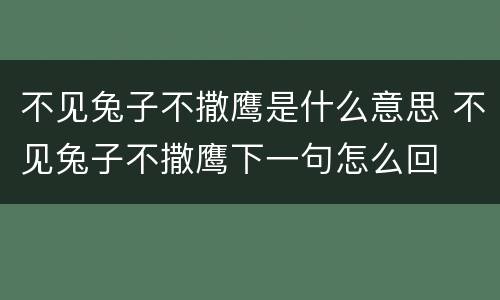 不见兔子不撒鹰是什么意思 不见兔子不撒鹰下一句怎么回