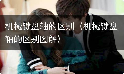 机械键盘轴的区别（机械键盘轴的区别图解）