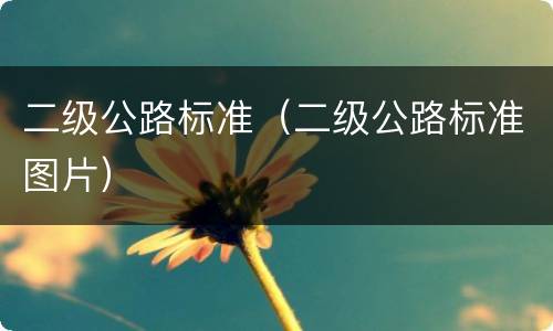 二级公路标准（二级公路标准图片）