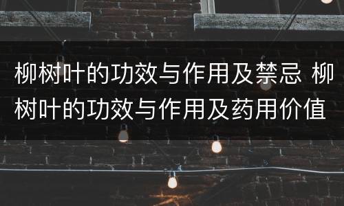 柳树叶的功效与作用及禁忌 柳树叶的功效与作用及药用价值