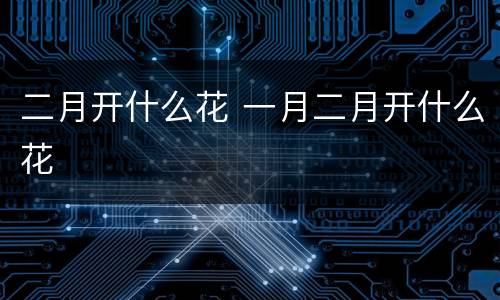 二月开什么花 一月二月开什么花