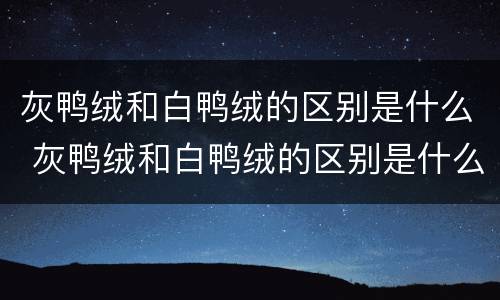 灰鸭绒和白鸭绒的区别是什么 灰鸭绒和白鸭绒的区别是什么呢