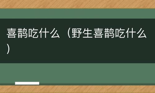 喜鹊吃什么（野生喜鹊吃什么）