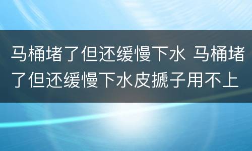 马桶堵了但还缓慢下水 马桶堵了但还缓慢下水皮搋子用不上