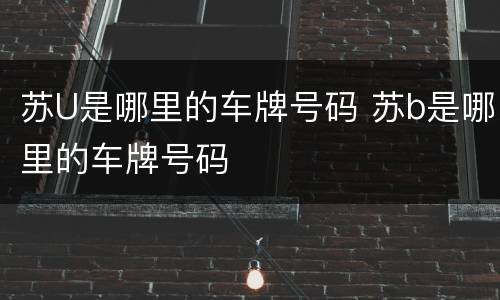苏U是哪里的车牌号码 苏b是哪里的车牌号码