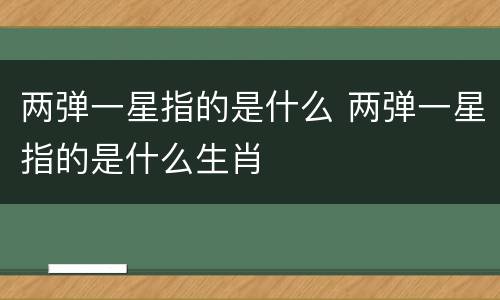 两弹一星指的是什么 两弹一星指的是什么生肖