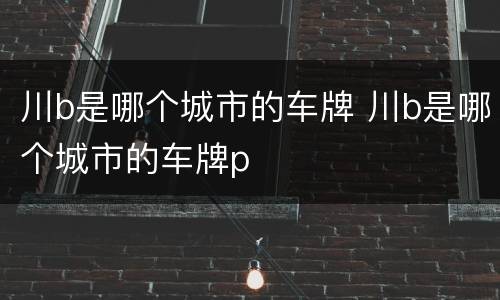 川b是哪个城市的车牌 川b是哪个城市的车牌p