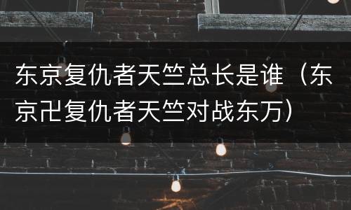 东京复仇者天竺总长是谁（东京卍复仇者天竺对战东万）