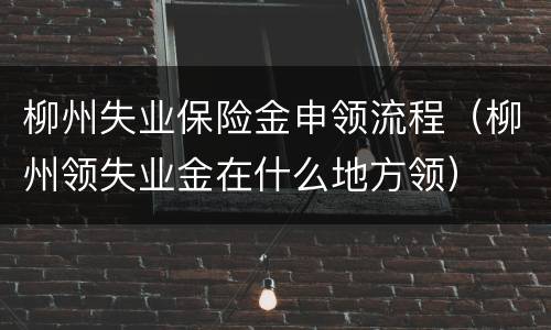 柳州失业保险金申领流程（柳州领失业金在什么地方领）